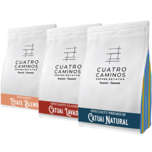 Specialty Coffee Trio Bundle