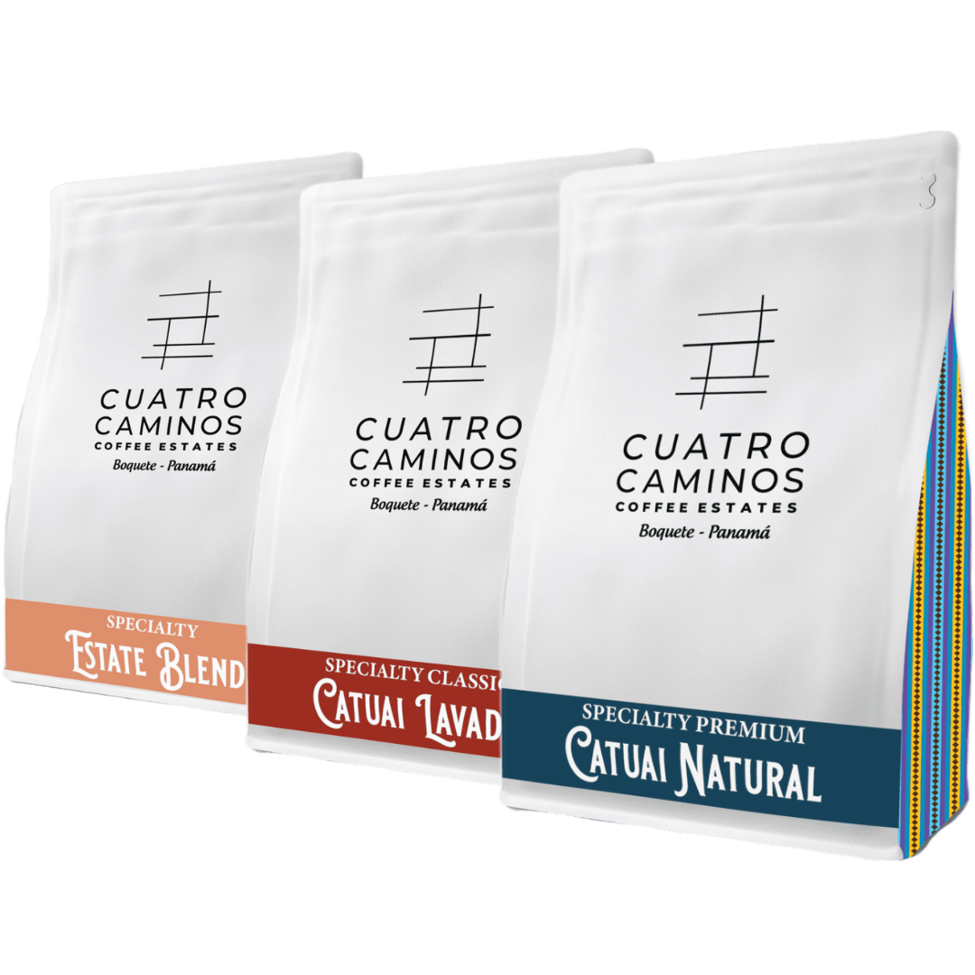 Specialty Coffee Trio Bundle